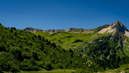 Fototapeta premium landscape with mountains