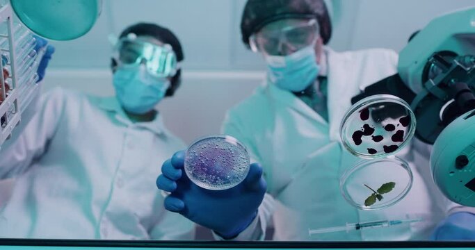 Below of two scientists using syringe and petri dish in testing lab. Micro biologist examine purple liquid bacteria in glass mixture to invent a vaccine cure for virus at innovative research hospital