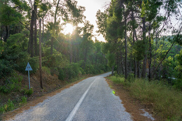 Alpine road leading to Chrysi Milia beach in Alonnisos island, Greece, Europe