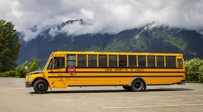 School bus on parking lot on sunny background. Yellow school bus. Street photo