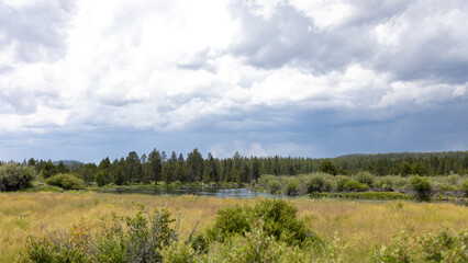 Obraz premium Beautiful Landscape in Sunriver Oregon, Summer Season 2022