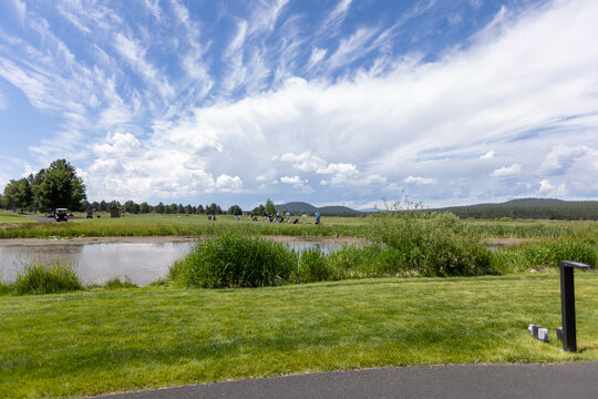 Sunriver Landscape In Oregon