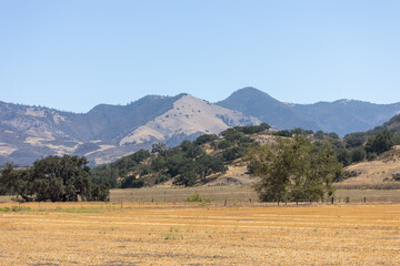 Cattle Ranch in California, Los Olivos Landscape