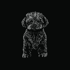 Yorkie-poo hand drawing vector illustration isolated on black background