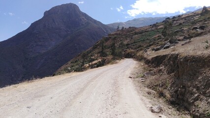 CAMINO 06