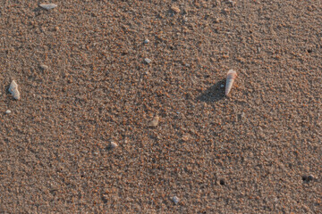 Disfruta de unas impresionantes fotos desde la orilla de la playa con las olas vistas desde abajo. Esta selección te llevará al lado tranquilo de la naturaleza y te hará sentir como si estuvieras para