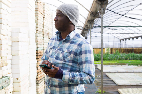 Focused African American Man Farmer Working In A Greenhouse Is Typing An Important Message On His Mobile Phone