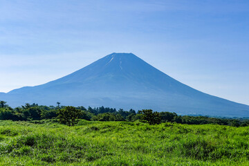 Fototapeta premium 静岡県富士宮市朝霧高原からの富士山