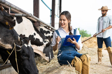 Asian attractive dairy farmer woman working outdoors at livestock farm