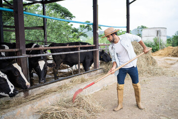 Attractive Caucasian male dairy farmer working alone outdoors in farm.