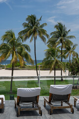 Beach chairs facing group of palm trees in South Beach. Miami