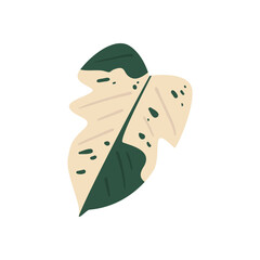 flat green and beige leaf