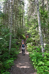 Obraz premium Young women hiking Stanton Lake Trail in Great Bear Wilderness, Montana on sunny summer day.