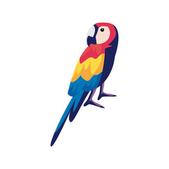 flat colored parrot © Jeronimo Ramos