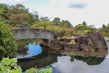 Fototapeta na wymiar bridge over the pond