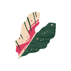 flat colored leaf design