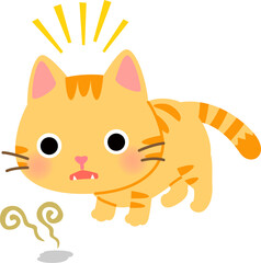 フレーメン反応をする猫