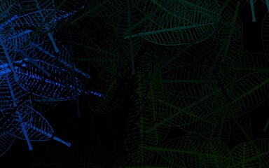 Dark Blue, Green vector elegant wallpaper with flowers, leaves.