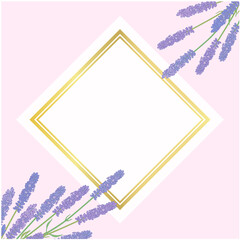 ラベンダーの背景⑤ななめ正方形_金枠カード風_ピンク