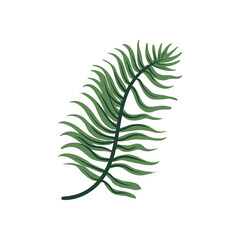 flat large branch design