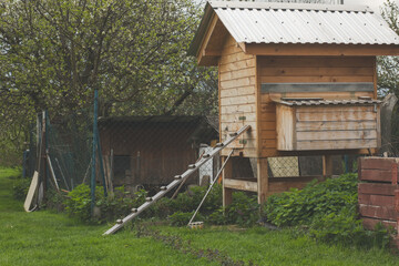 Hen coop in the garden.Trees blooming in background.Spring season. © Munka