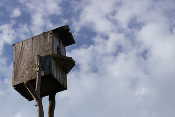 Homemade wooden birdhouse on a blue sky background