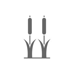 Reeds plant glyph icon. linear style sign for mobile concept and web design. Cattail simple glyph vector icon. Symbol, logo illustration. Pixel perfect vector graphics