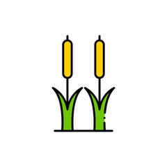 Reeds plant filled color icon. linear style sign for mobile concept and web design. Cattail simple filled color vector icon. Symbol, logo illustration. Pixel perfect vector graphics