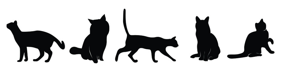 Silhouette Cat Set on white background
