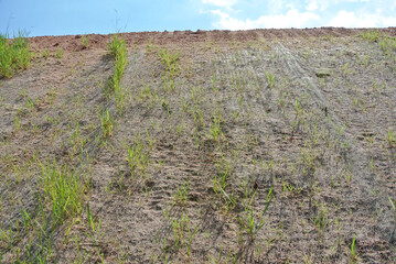 Permanent slope protection with grass using the hydroseed method. The grass is used to stabilize the slope structure and prevent slope erosion. Effective and less maintenance. 