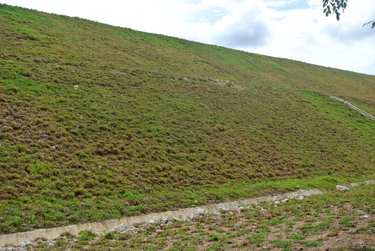 Permanent slope protection with grass using the hydroseed method. The grass is used to stabilize the slope structure and prevent slope erosion. Effective and less maintenance. 