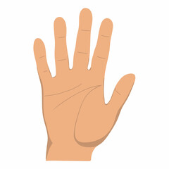 Human hand. The palm is like a sense organ. Part of the body. The organ of touch. Vector illustration isolated on white background in hand drawn style.