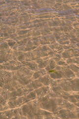 Clear beach water on a summer day with copy space. Above view of calm low tide sea ripples during spring. Closeup of the bright sun reflection shining off the shallow ocean useful as a background