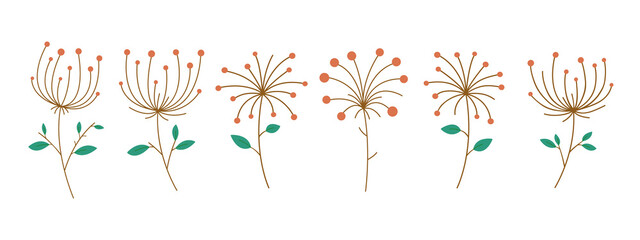 Set of stylized umbrella plants. Umbrellas of dill seeds or fennel inflorescences with different stem shapes. Simple minimalist branch with green leaves and brown flowers. Vector illustration.