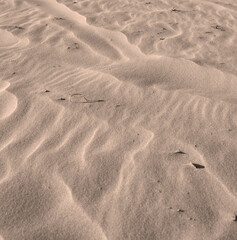 Brown sand dunes at the beach shore in nature on a sunny day with copyspace. Closeup of desert landscape outdoors with grainy and sandy surface texture. Dry barren coastal scenic to explore in summer