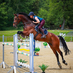 Show jumper with horse jumping over an obstacle, format 1:1..