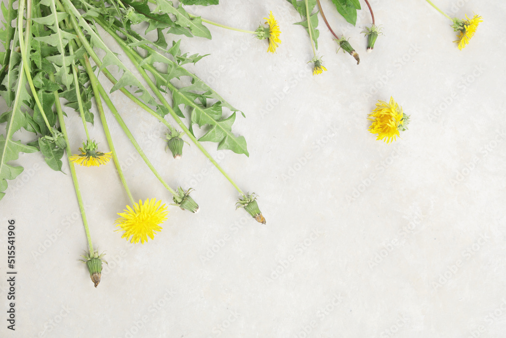 Canvas Prints fresh dandelion on light background.