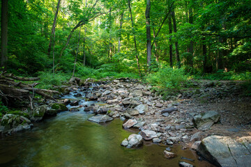 Long exposure image of flowing idyllic woodland stream