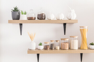 front view of the kitchen shelves with various eco-jars for storing bulk products. front view. white wall. cactus in pots.
