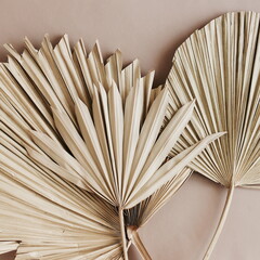 Dry palm leaves pattern background. Botanical poster. toned