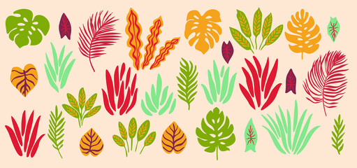 Abstract tropical vector plants. Leaves and branches. Floral illustration
