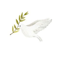 The dove of peace. Watercolor illustration. Hand drawn religious element.