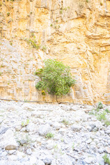 Die Samaria-Schlucht auf Kreta - Der Gran Canyon Europas