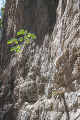 Die Samaria-Schlucht auf Kreta - Der Gran Canyon Europas