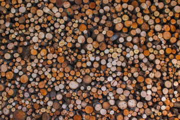 Stacked logs. Firewood. Background. Abstract