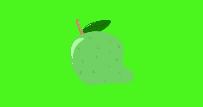 animation of soursop fruit green icon illustration tropical  on green screen background