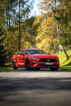 Kouty nad Desnou, Czech Republic - October 13, 2019: Sports car Mustang GT in scenic environment