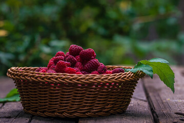 Fresh organic ripe raspberry wood table background woven basket fruit