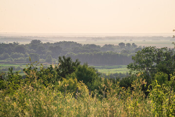 Beautiful natural countryside landscape. Blooming wild high grass nature at sunset warm summer. Pastoral scenery. The hills  fog. Morning landscape Moldova Olanesti tree green morning  field