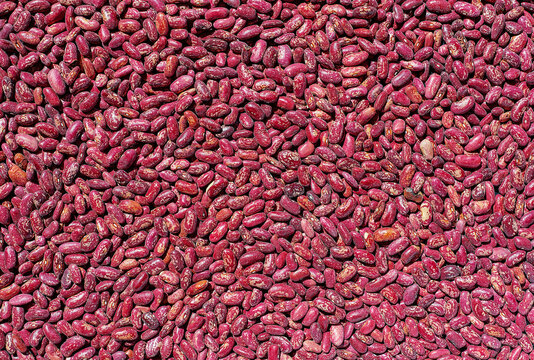 Background from red beans, nutritious vegetable protein, top view with copy space for text. Idea for a banner or product advertisement, wallpaper for an article describing a vegan recipe or diet